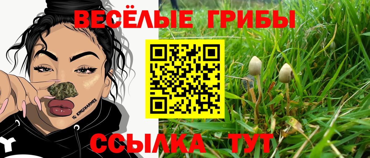 Псилоцибиновые грибы MAGIC MUSHROOMS  Вход с VPN  Батайск  Псилоцибиновые грибы Psilocybe 
