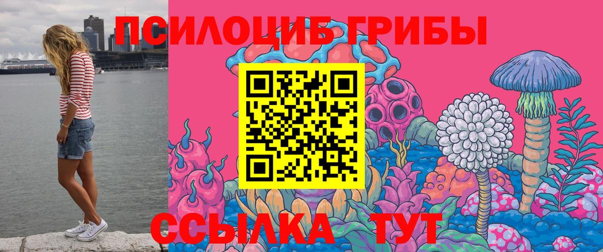 Псилоцибиновые грибы мицелий Батайск